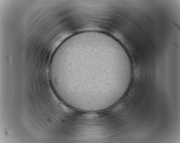 X0000103151282200809051629