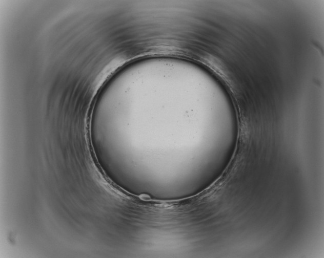 X0000103151283200809051629