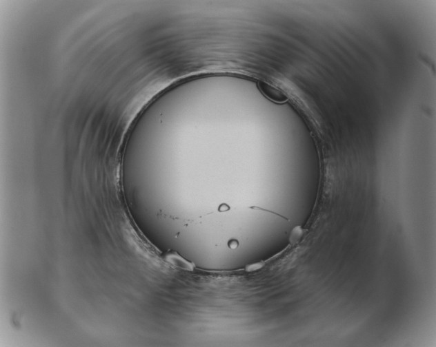 X0000103151284200809051629