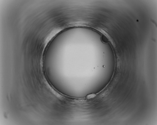 X0000103151285200809051629