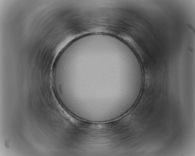 X0000103151286200809051629