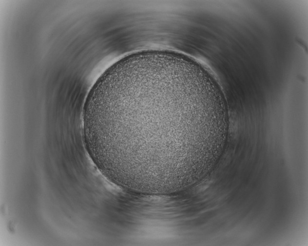 X0000103151287200809051629