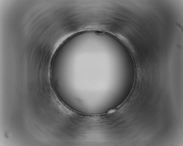 X0000103151288200809051629