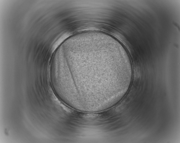 X0000103151290200809051629