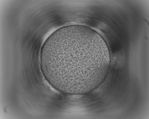 X0000103151294200809051629