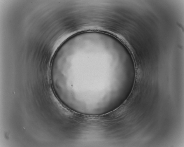 X0000103151295200809051629