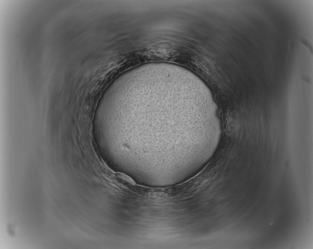 X0000103151297200809051628