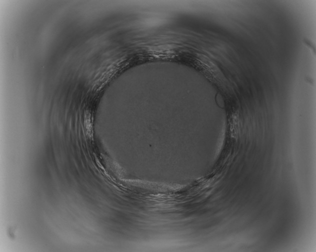 X0000103151298200809051628