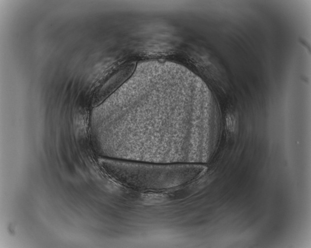 X0000103151300200809051628