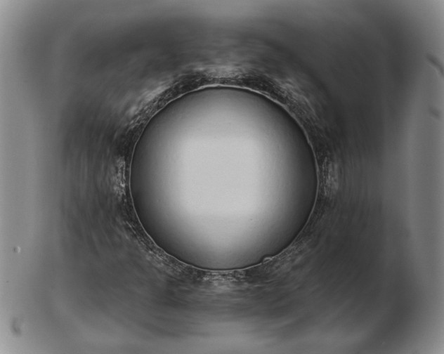 X0000103151301200809051628