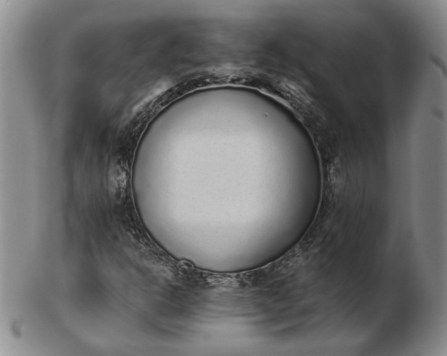 X0000103151302200809051628