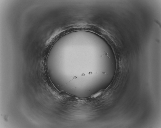 X0000103151304200809051628