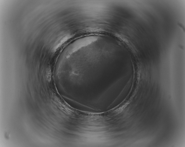 X0000103151306200809051628