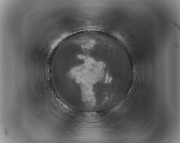 X0000103151310200809051628