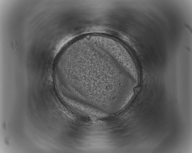 X0000103151312200809051628