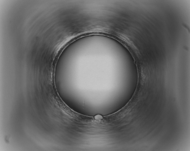 X0000103151316200809051628