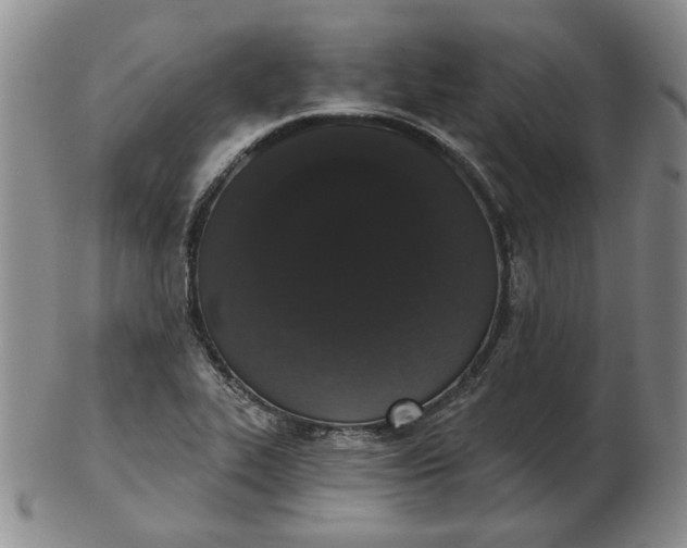 X0000103151319200809051628