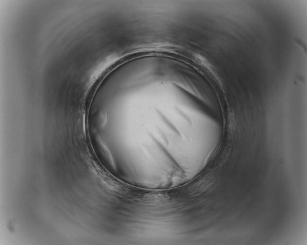 X0000103151320200809051628