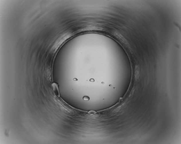 X0000103151321200809051628