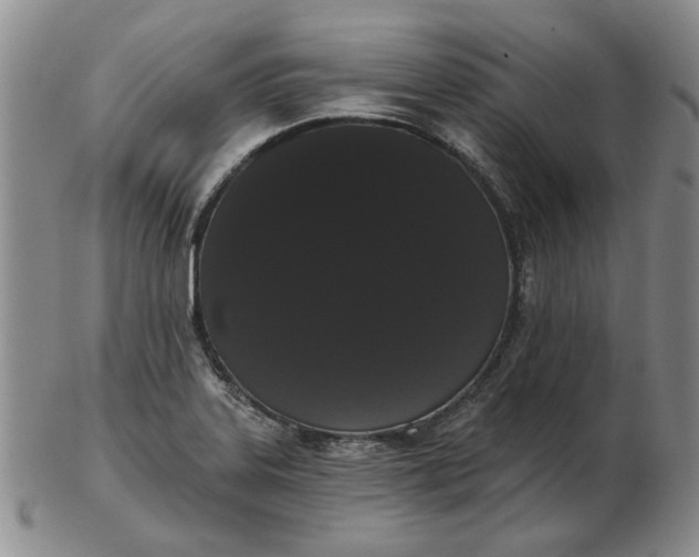 X0000103151323200809051629