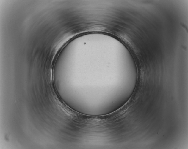 X0000103151324200809051629