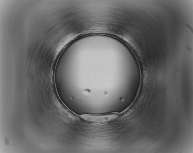 X0000103151325200809051629