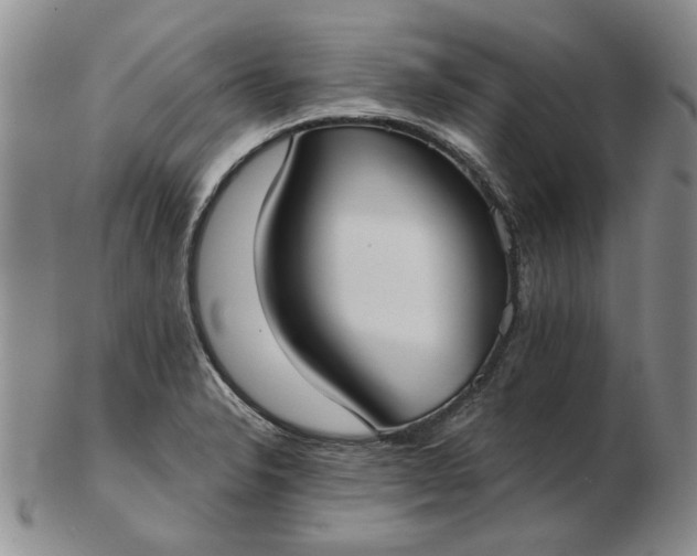 X0000103151326200809051629