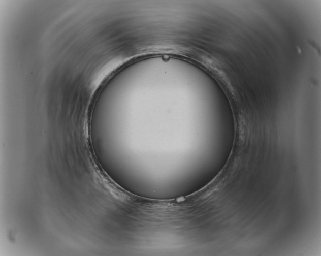 X0000103151328200809051629