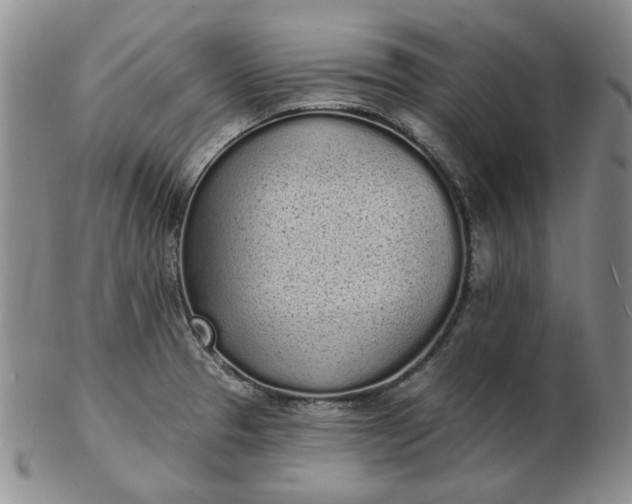 X0000103151329200809051629