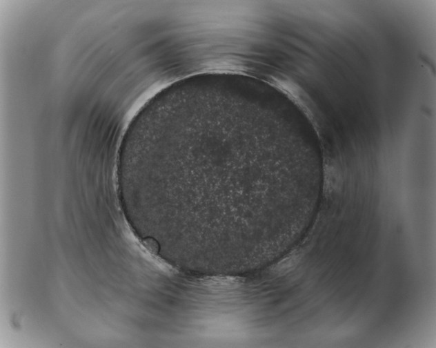 X0000103151331200809051629