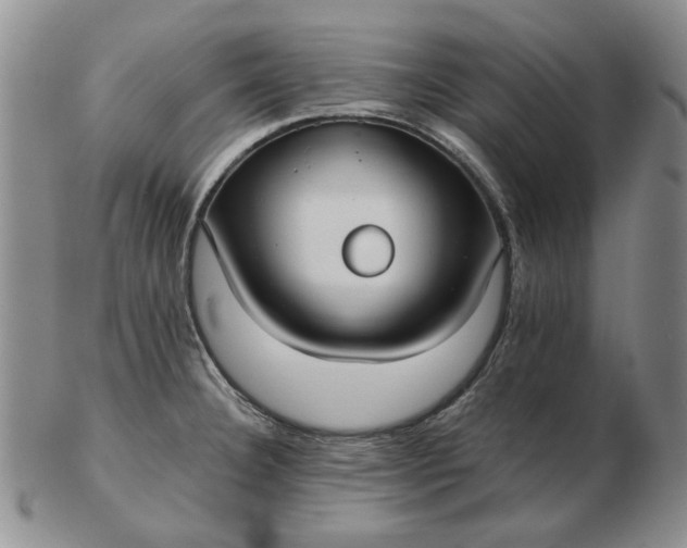 X0000103151332200809051629