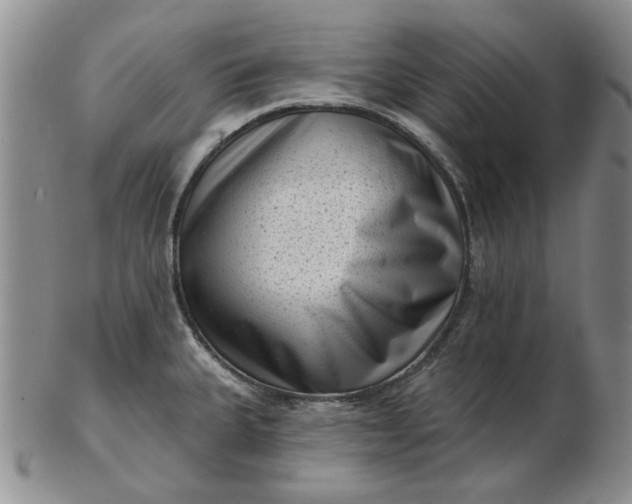 X0000103151335200809051629