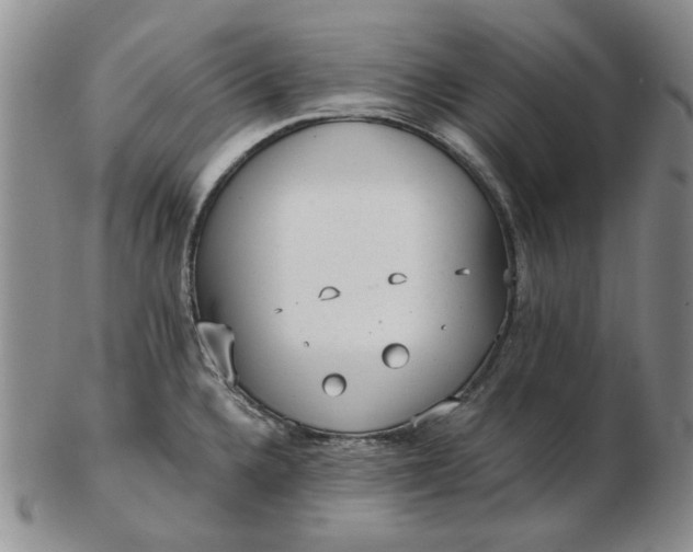 X0000103151336200809051629