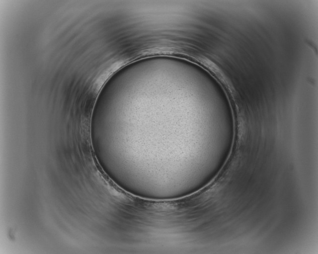 X0000103151337200809051629