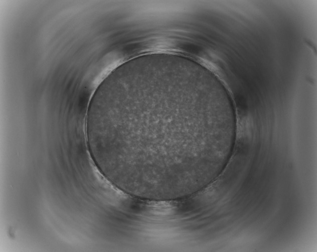 X0000103151338200809051629