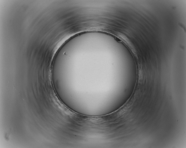 X0000103151340200809051629