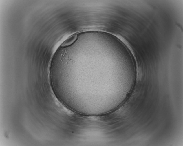 X0000103151341200809051629