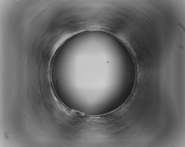 X0000103151342200809051629