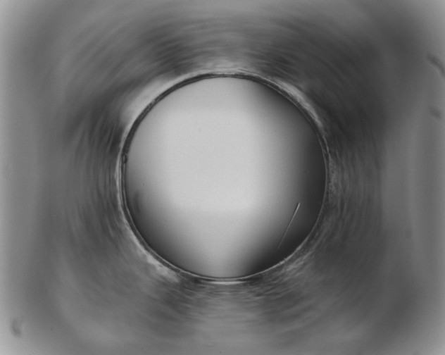 X0000103151343200809051629