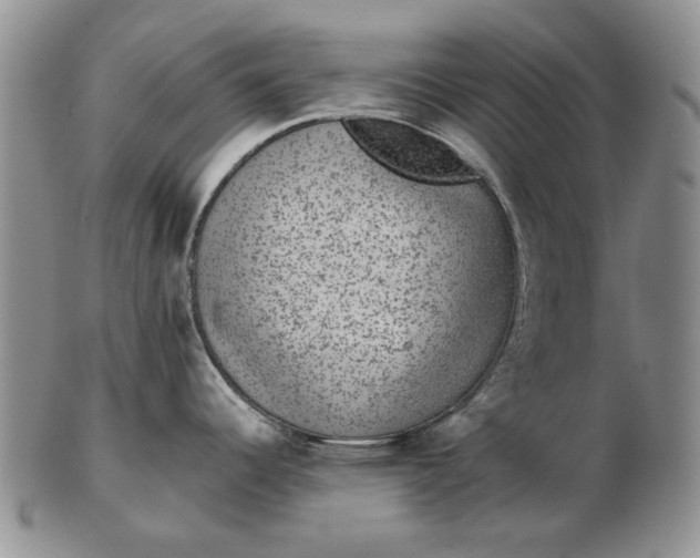 X0000103151344200809051629