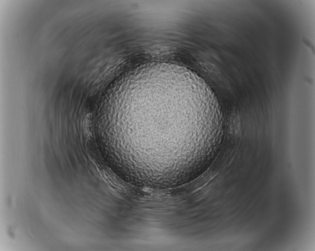 X0000103151346200809051628