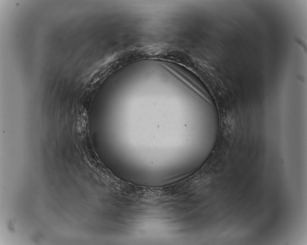 X0000103151349200809051628