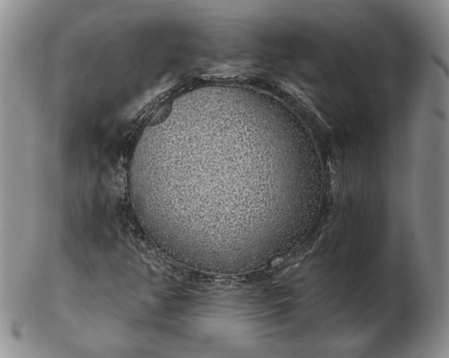 X0000103151350200809051628