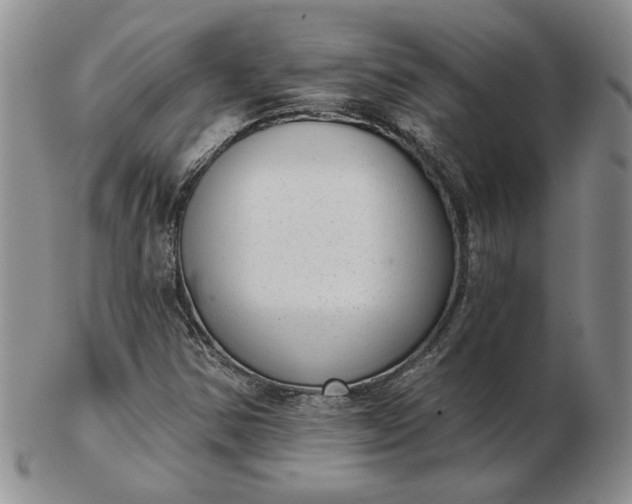 X0000103151354200809051628