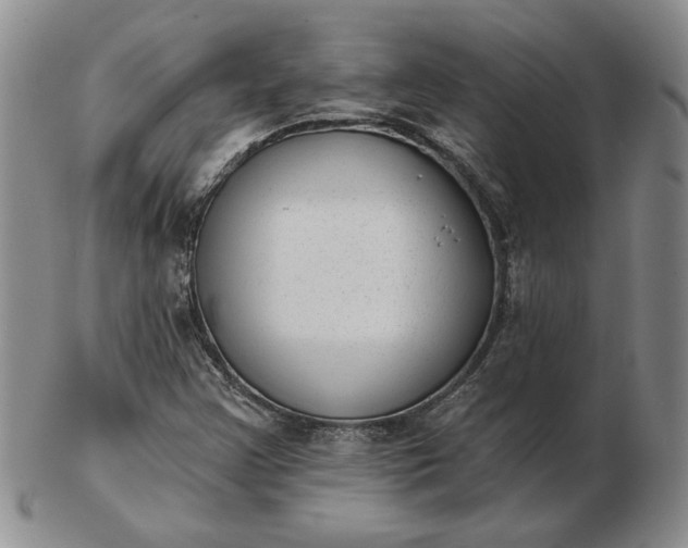 X0000103151355200809051628