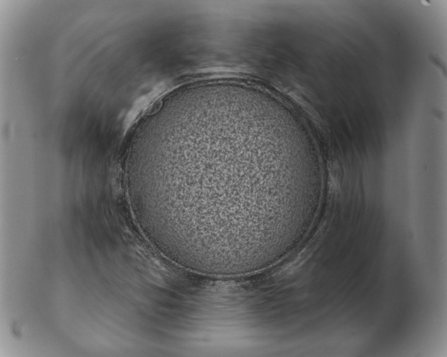 X0000103151357200809051628