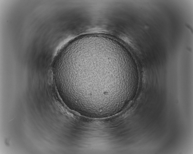 X0000103151358200809051628