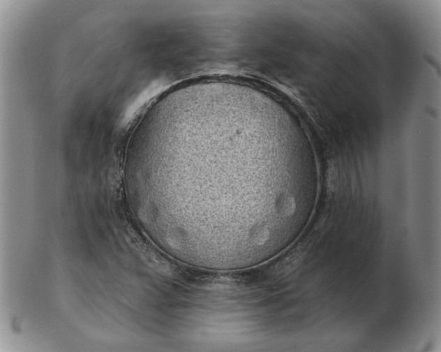 X0000103151359200809051628