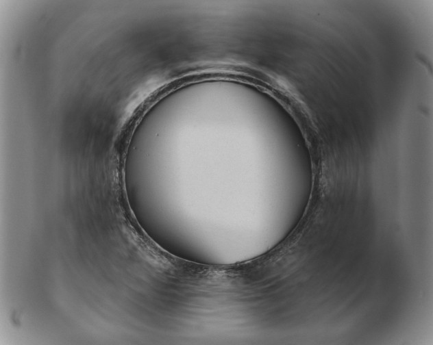 X0000103151360200809051628