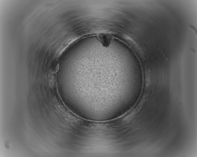 X0000103151361200809051628